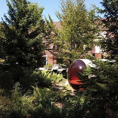 Cote Foret Hotel Orbey Exterior photo