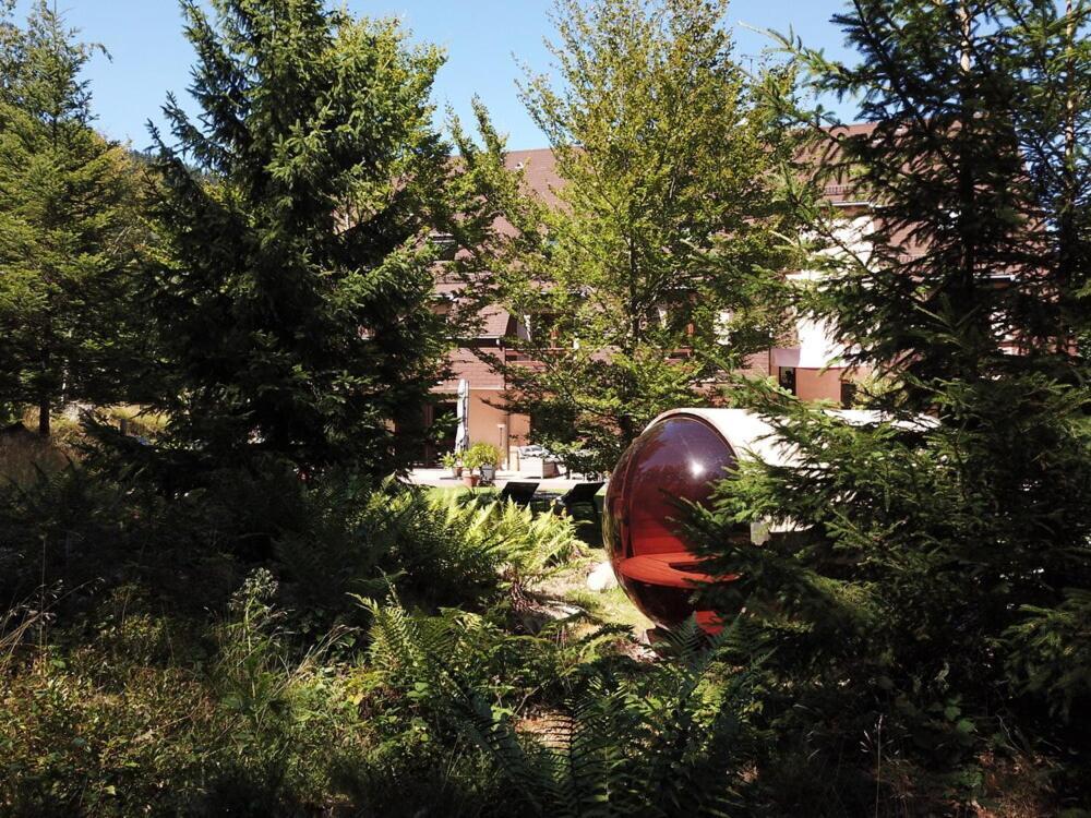 Cote Foret Hotel Orbey Exterior photo